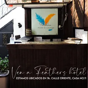 Feathers & Lounge Hotel Antigua