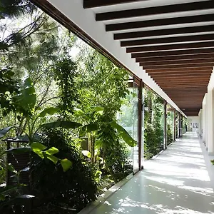 The Lifeco Bodrum Well-being Detox Center And Vegan (adults Only) Hotel Golturkbuku